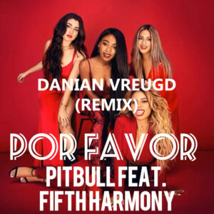 pitbull por favor FT. fifth harmony Danian Vreugd cover